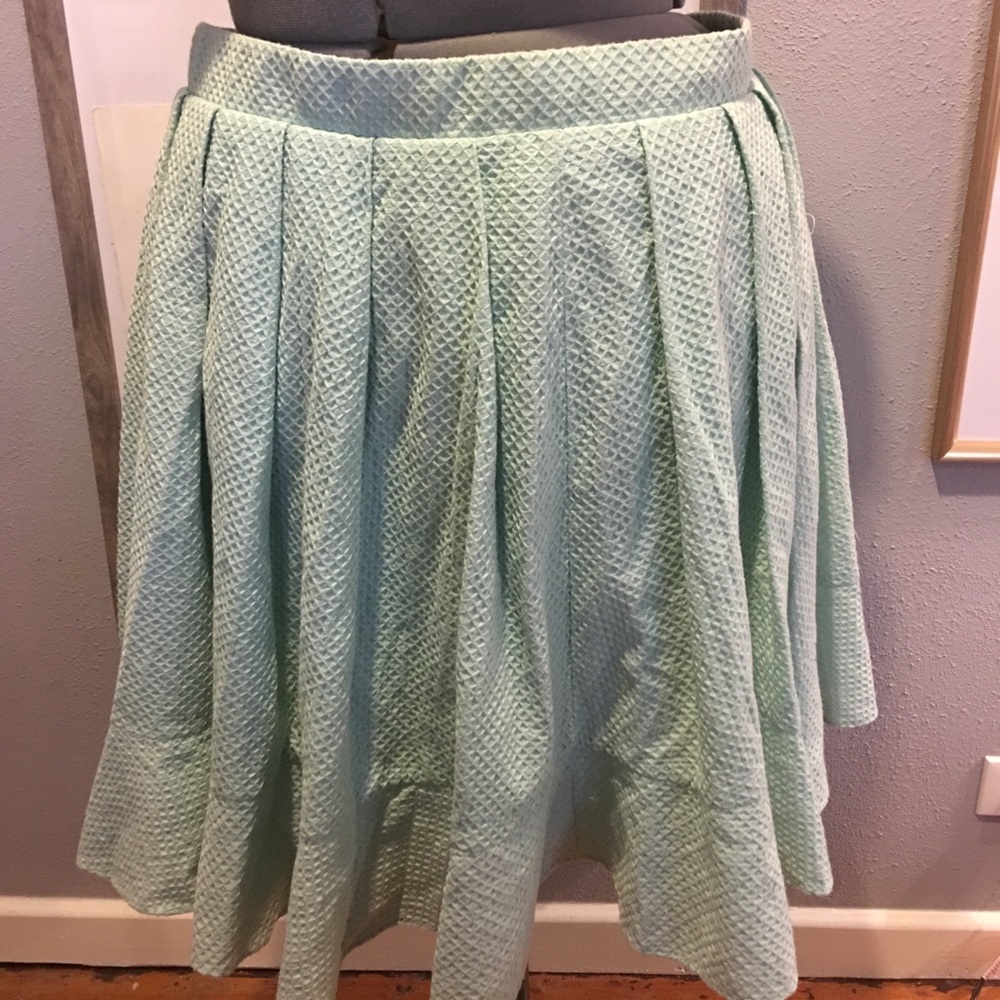 Torrid brand skirt
